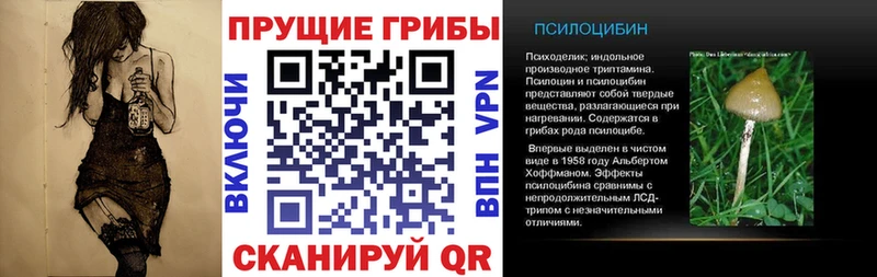 цена наркотик  Кодинск  сайты даркнета состав  Галлюциногенные грибы Magic Shrooms 